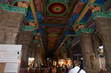 Meenakshi Temple, Madurai,_DSC_7910_H600